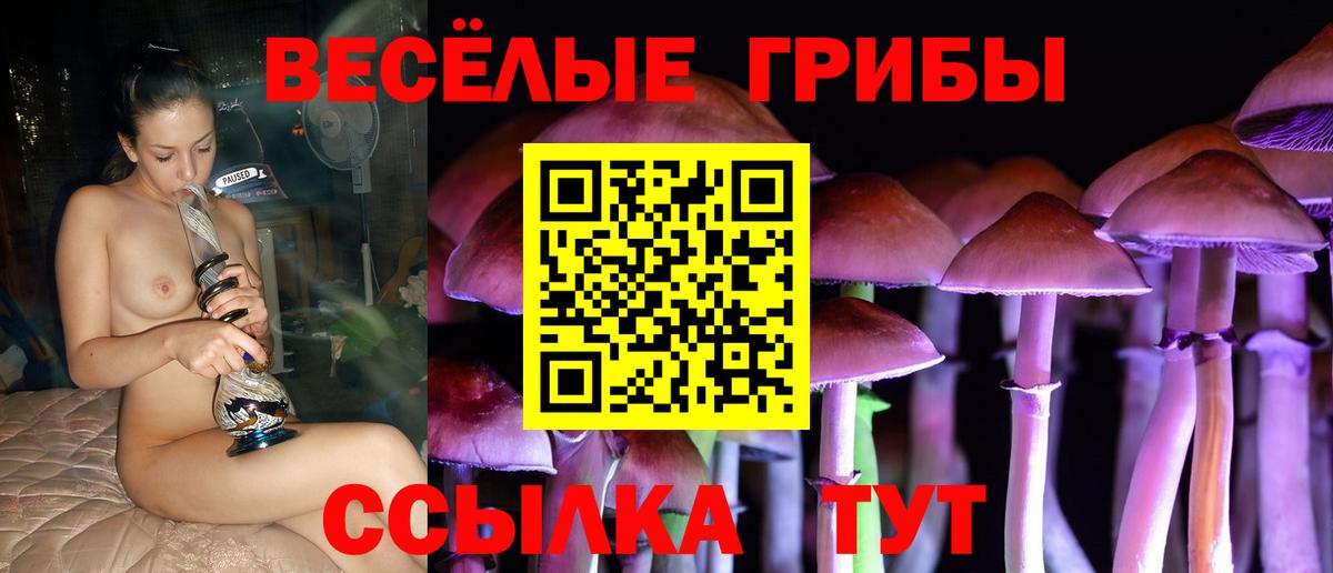 Людиново  Галлюциногенные грибы Psilocybine cubensis  где можно купить   Вход с VPN 